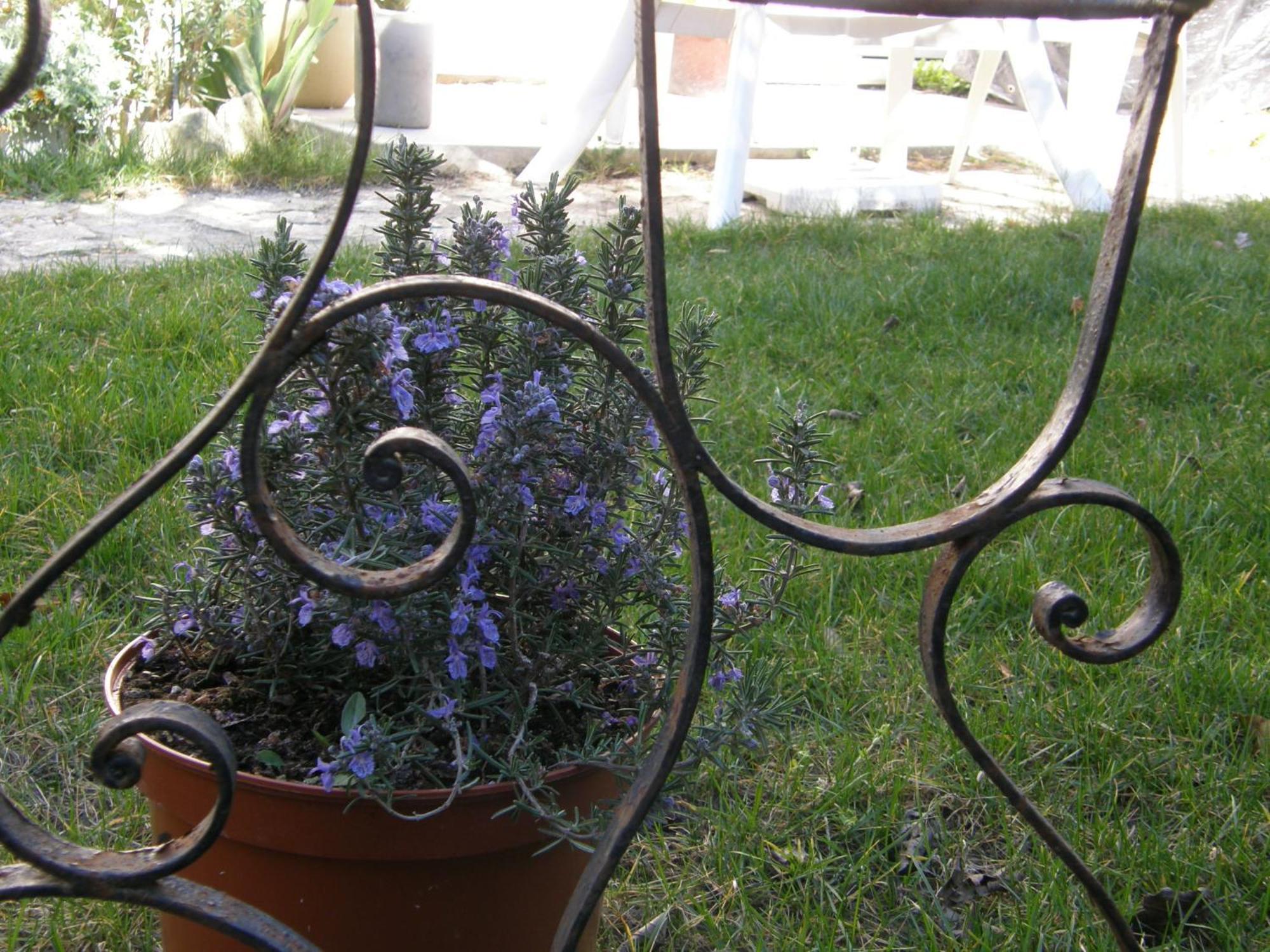 Brig'Gite LʼIsle-sur-la-Sorgue Εξωτερικό φωτογραφία